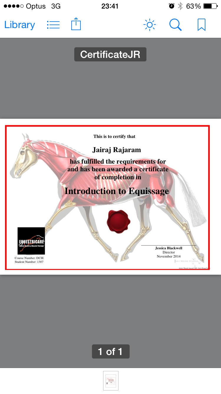 Equissage Certificate